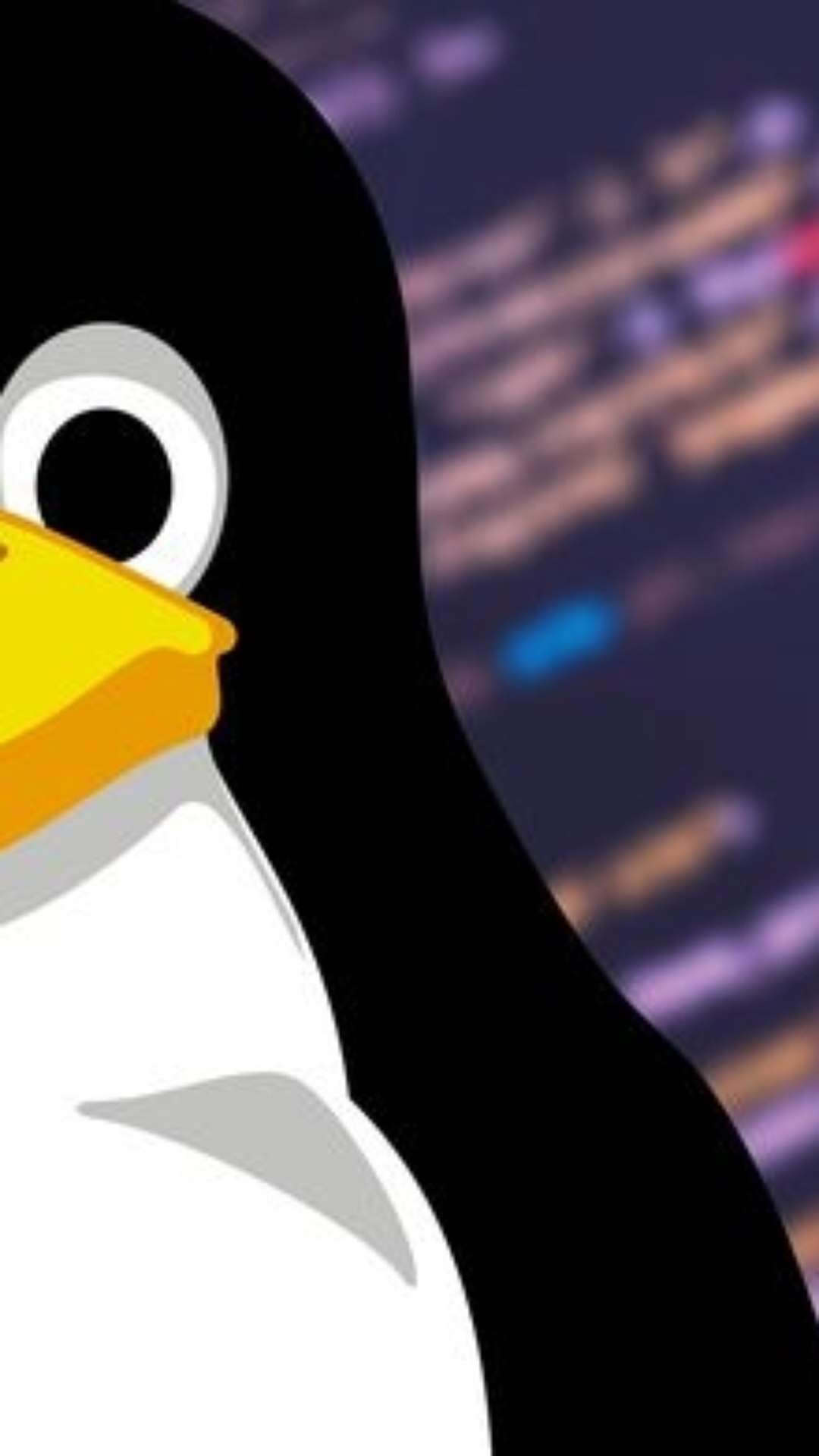 Pesquisadores identificam falha crítica que expõe sistemas Linux