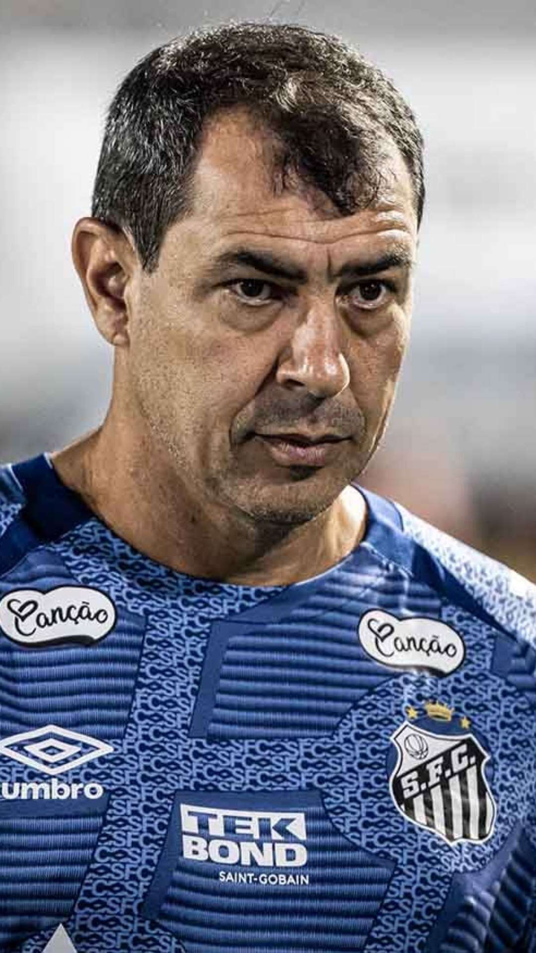 Fábio Carille garante que não vai entregar o cargo no Santos