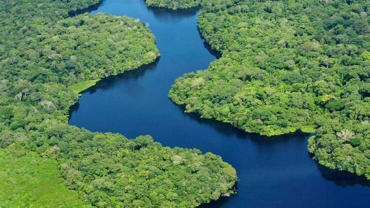 Com iminente vitória de Biden, militares preparam aceno à agenda ambiental