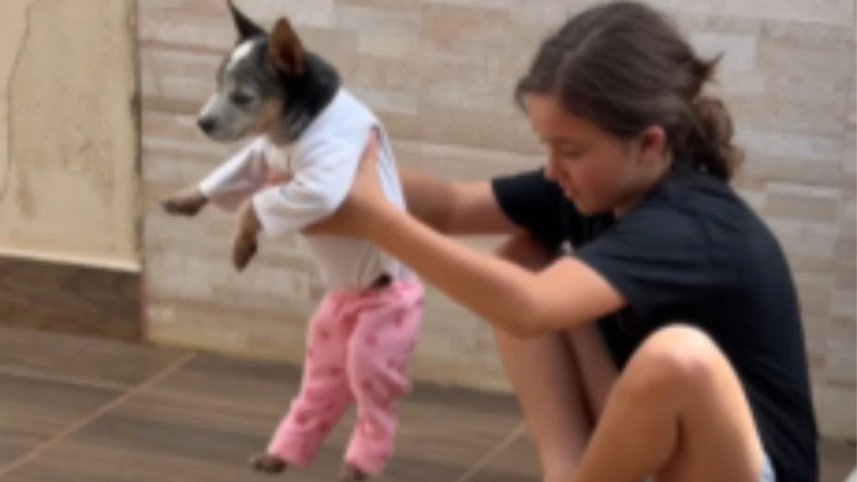 Cachorrinho esbanja paciência ao ser vestido com roupas de bebê