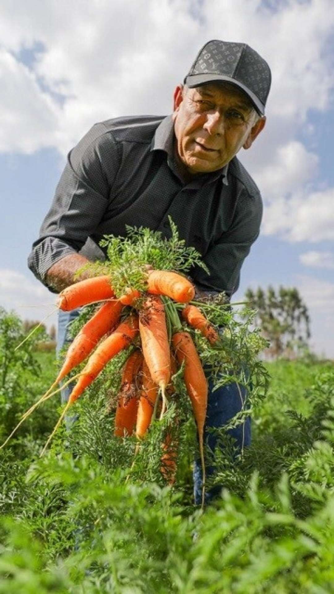 DF fará maior compra de alimentos da agricultura familiar para escolas da história