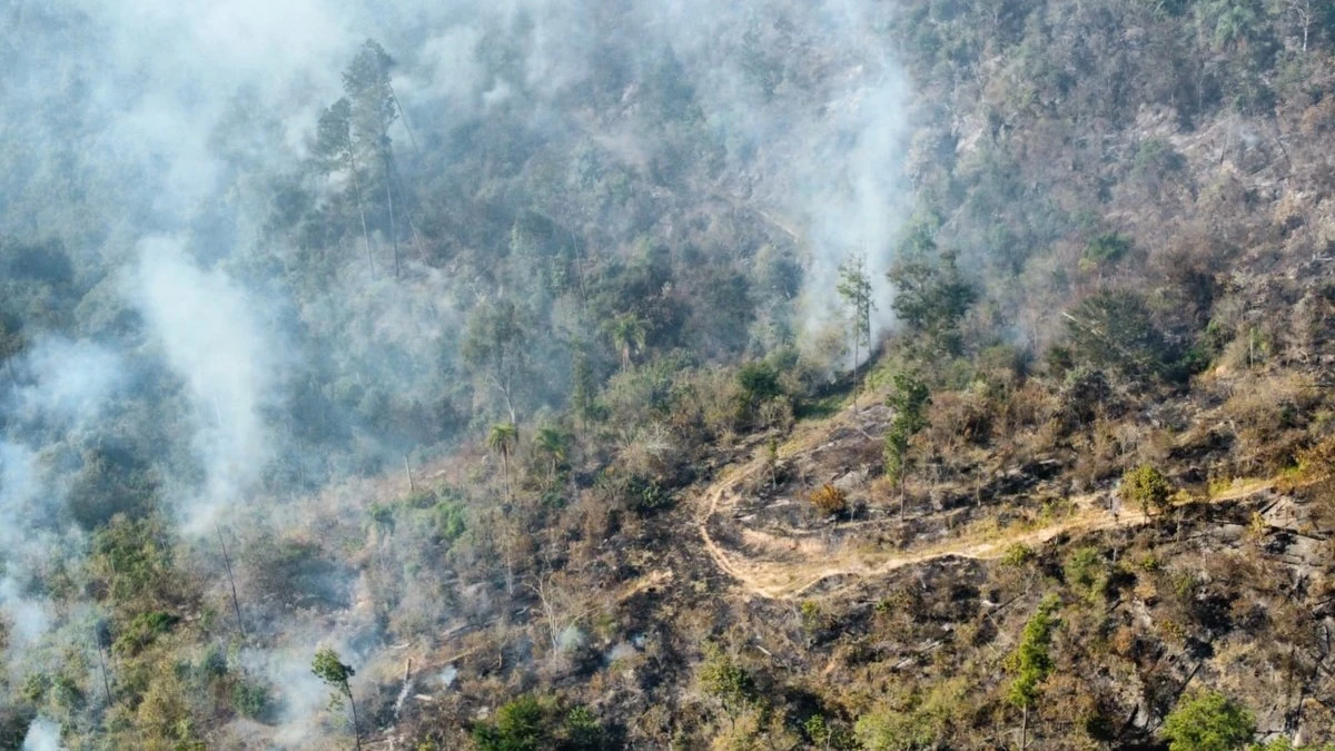 Após incêndios, SP emite alerta de risco mais alto para queimadas