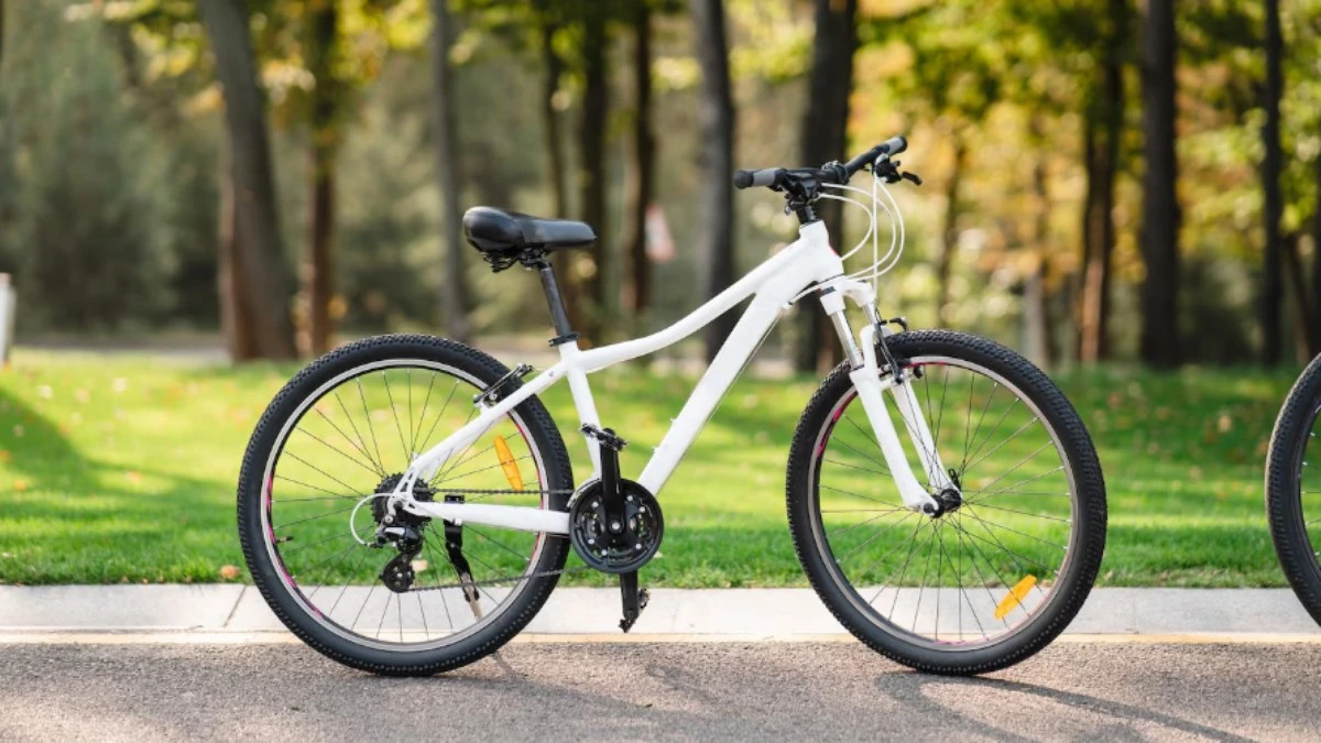 Top 5 bicicletas aro 29 para quem está começando a pedalar