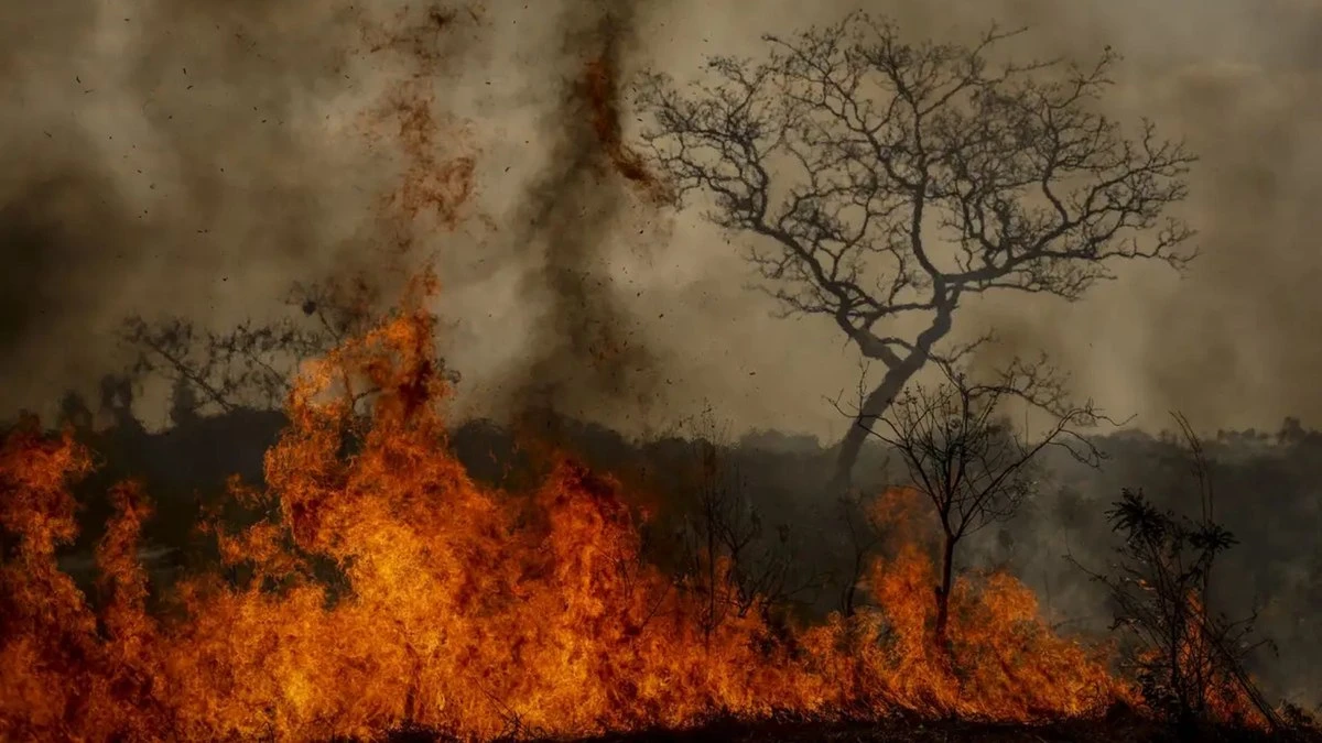 Área queimada no Brasil em 2024 equivale ao território da Itália