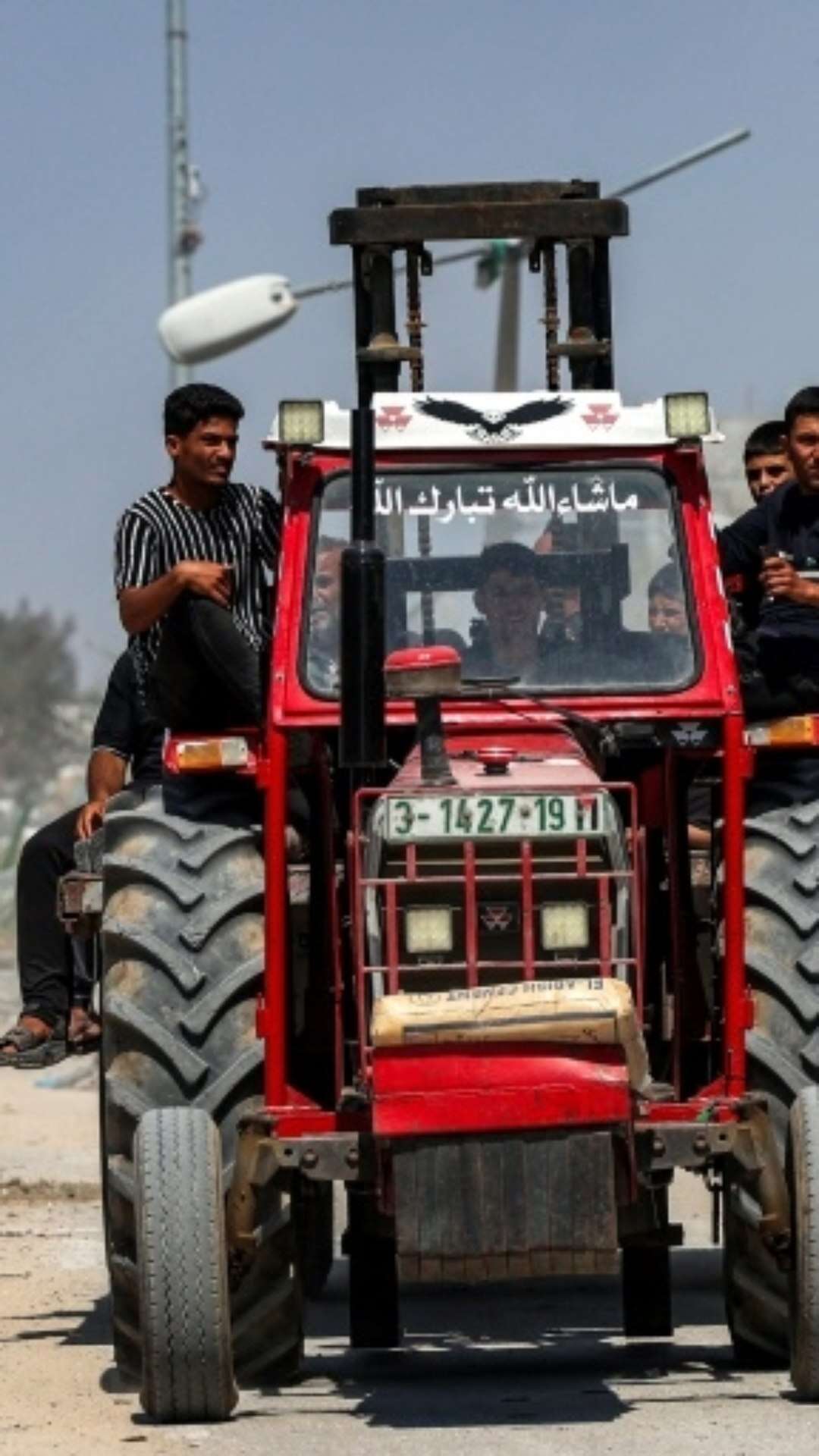 O setor agrícola de Gaza, arrasado pela guerra