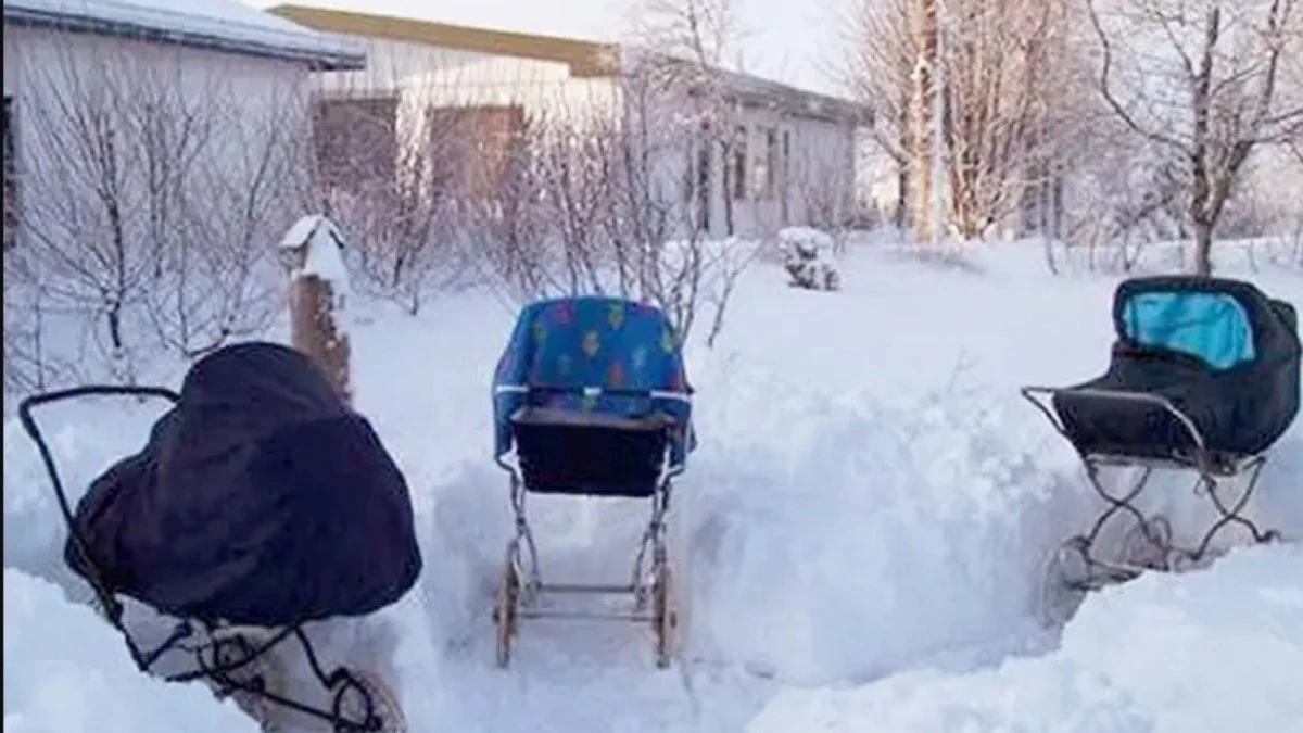 Bebês na neve: escandinavos colocam recém-nascidos abaixo de 0º C