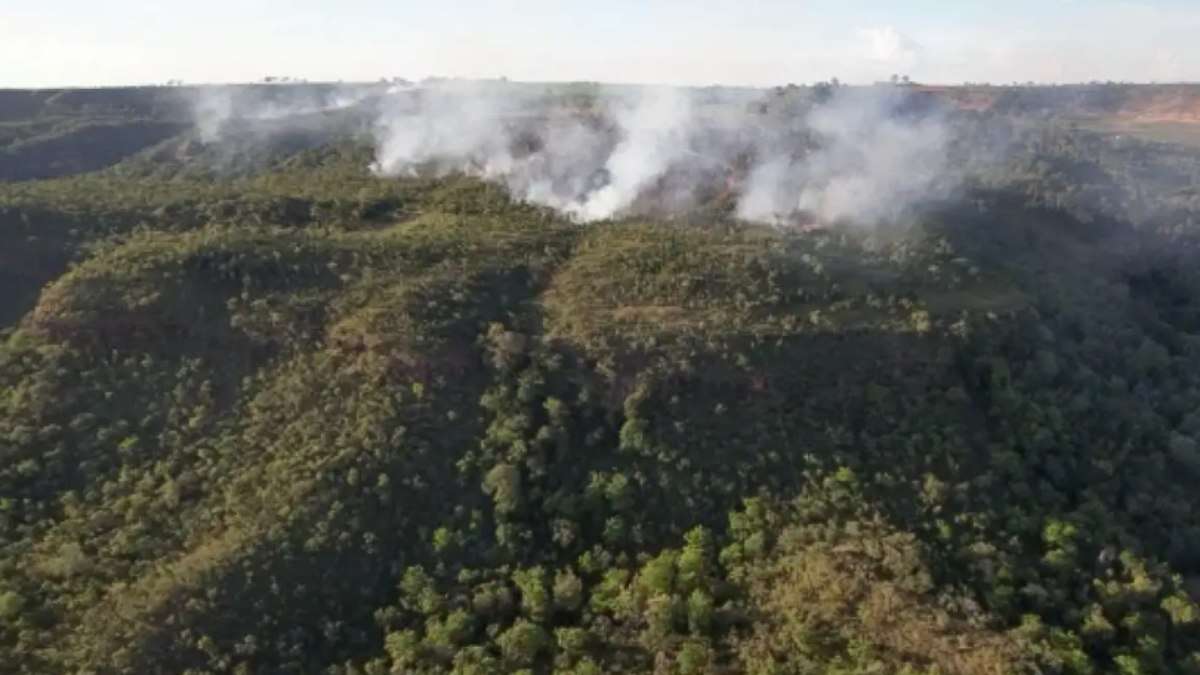 Incêndio no MT atinge divisa do Santuário de Elefantes