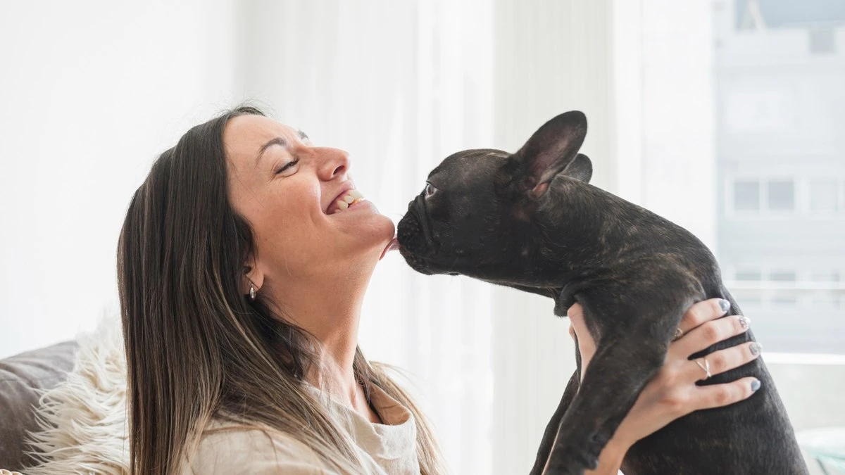 Cães lambem por carinho ou estresse? Entenda o gesto