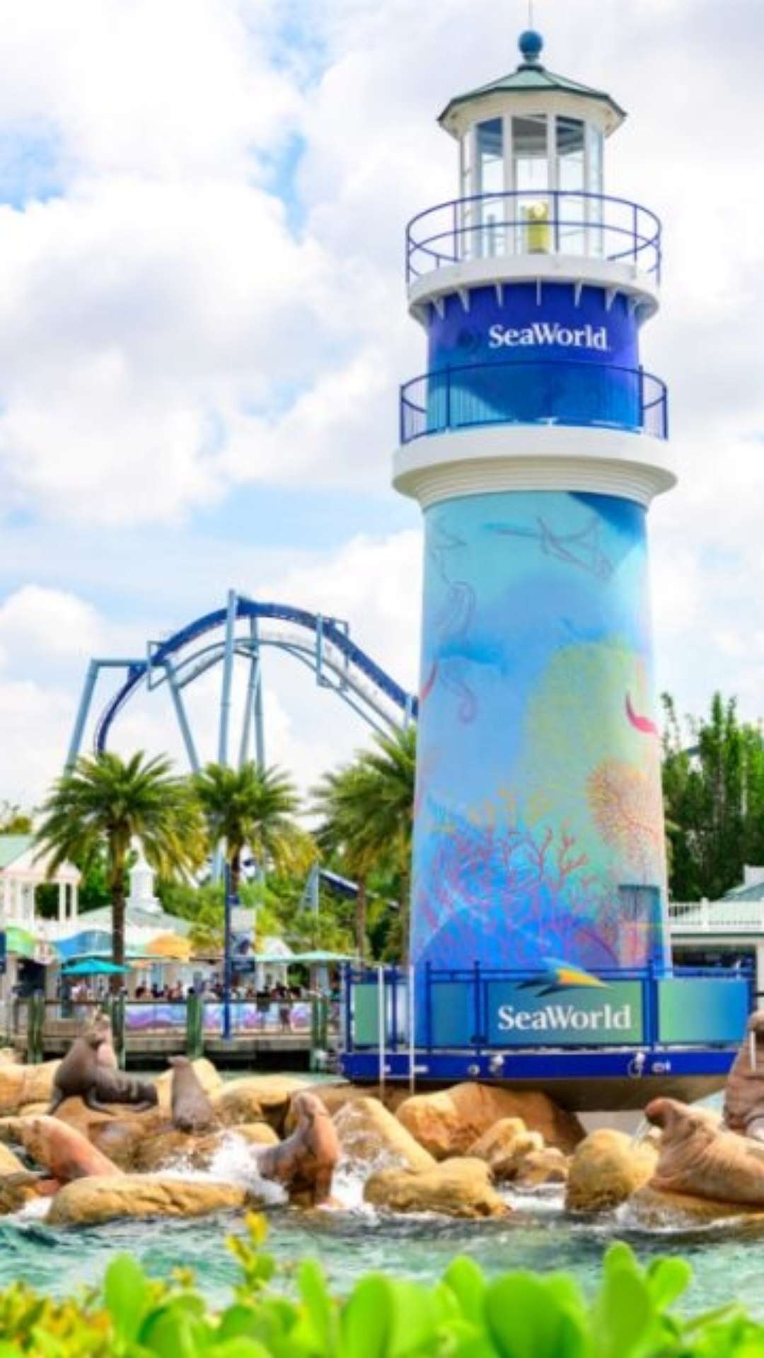 SeaWorld Orlando inaugura nova montanha-russa temática; saiba qual