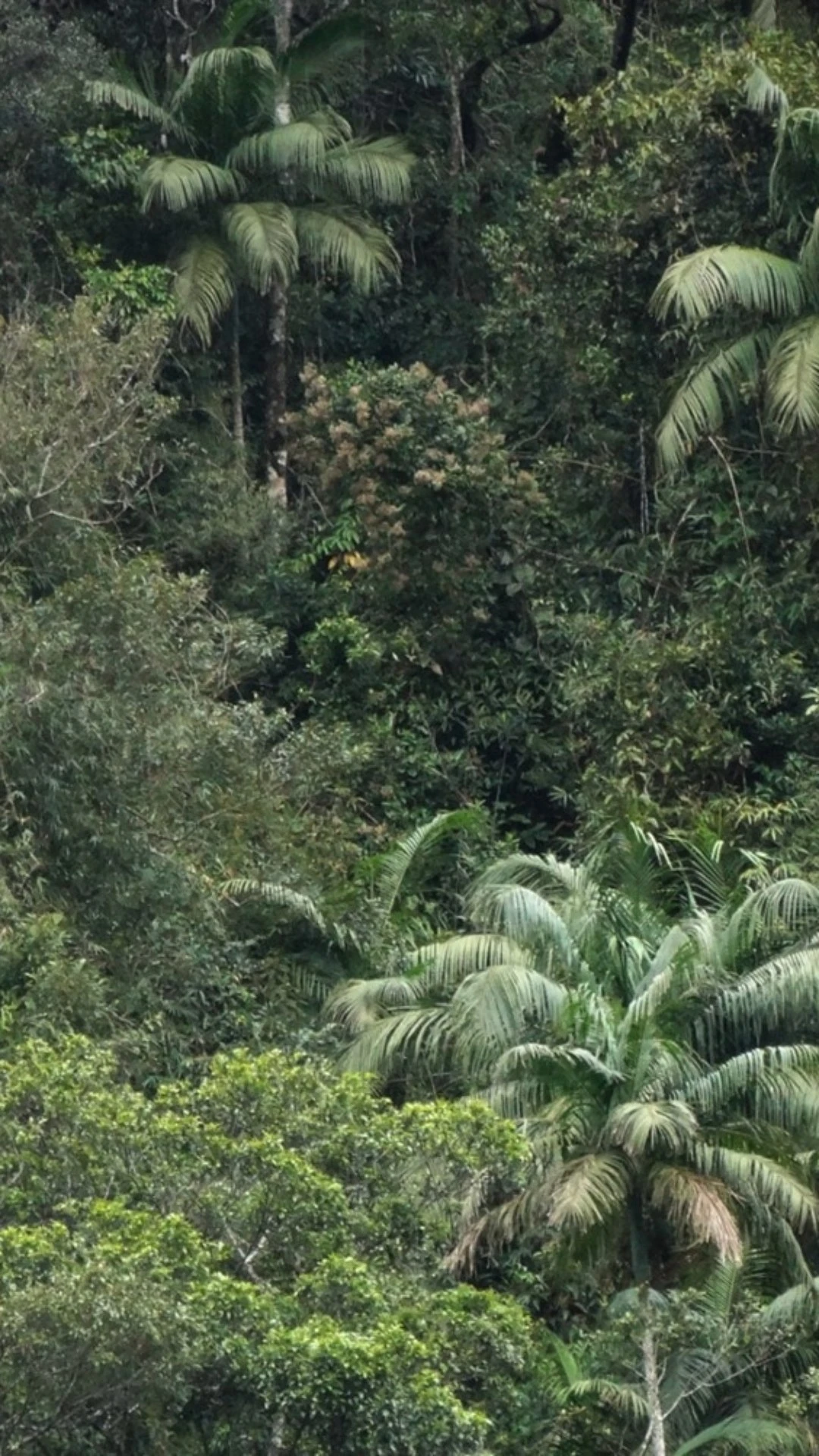 Agenda sustentável evolui, mas segue fragmentada no Brasil