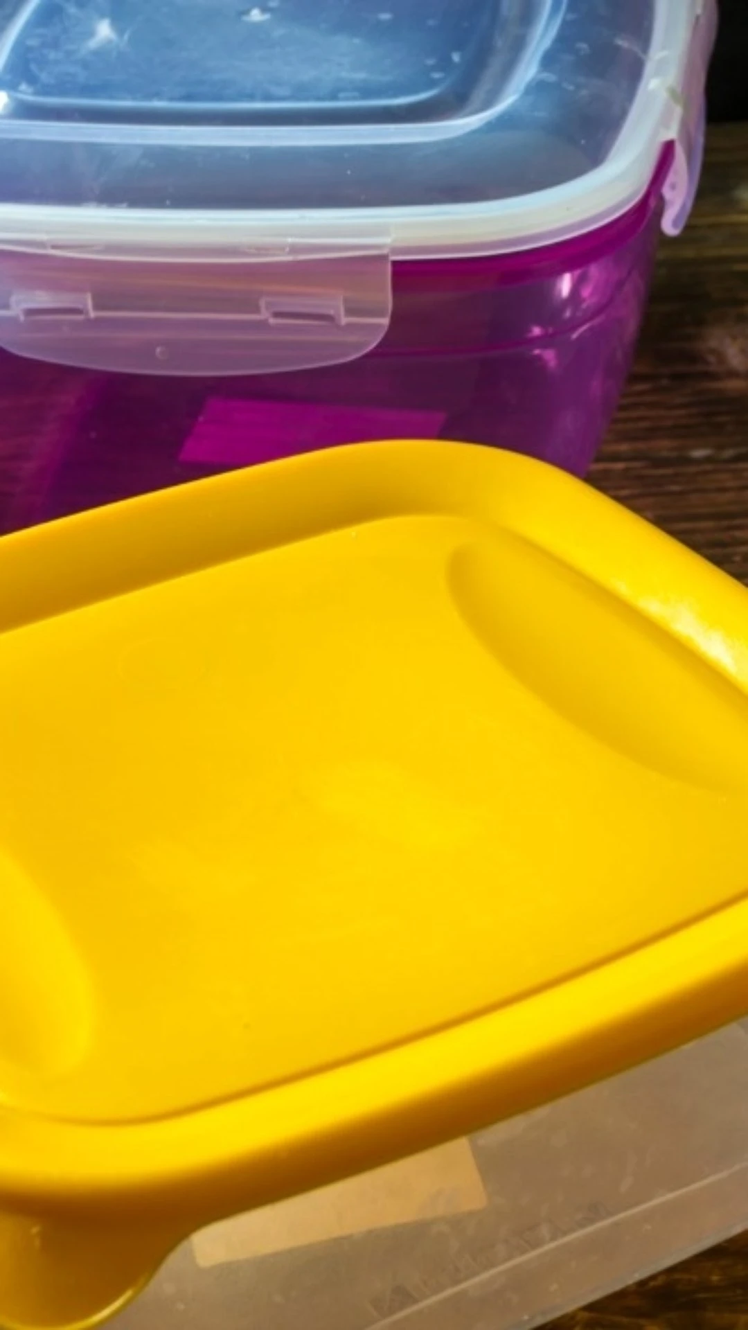 Como eliminar o cheiro ruim dos potes plásticos: 3 dicas poderosas