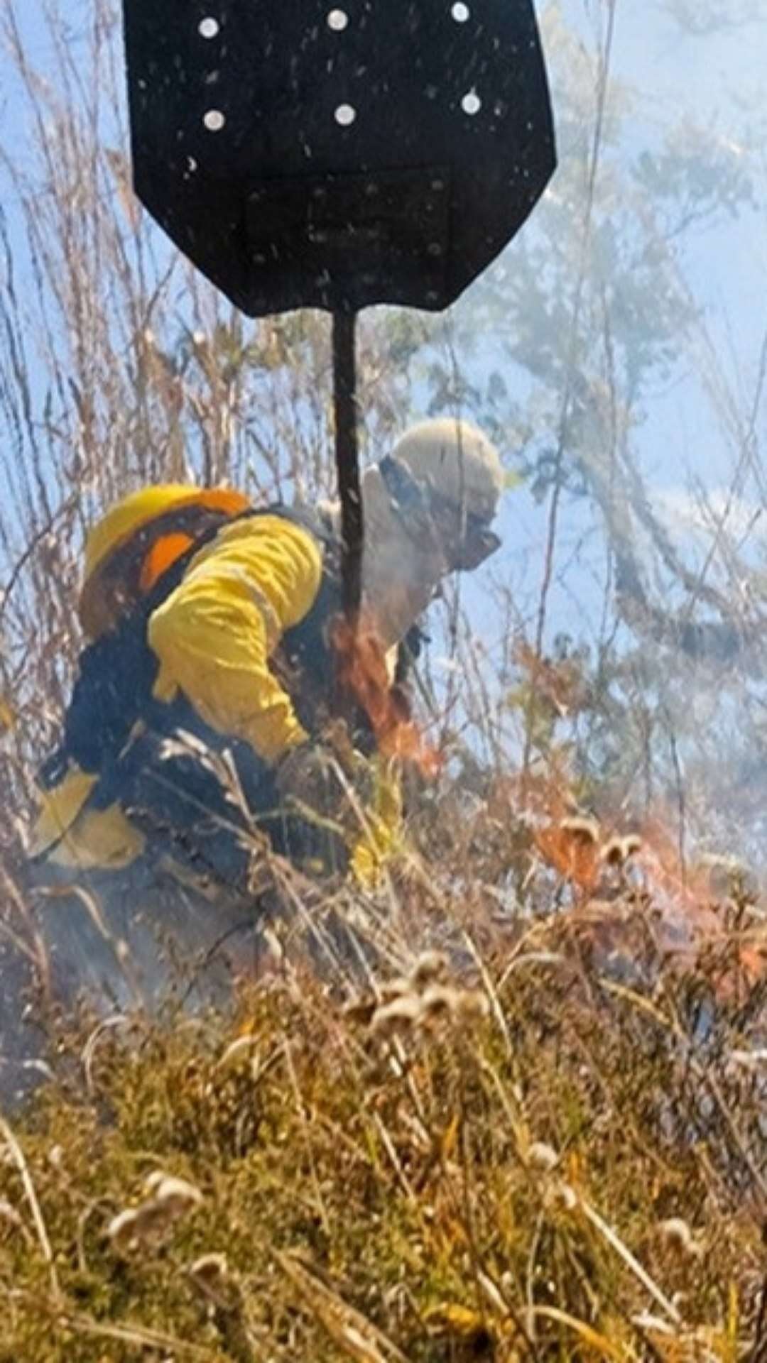 Projeto prevê pena de até 12 anos para quem causa crimes ambientais