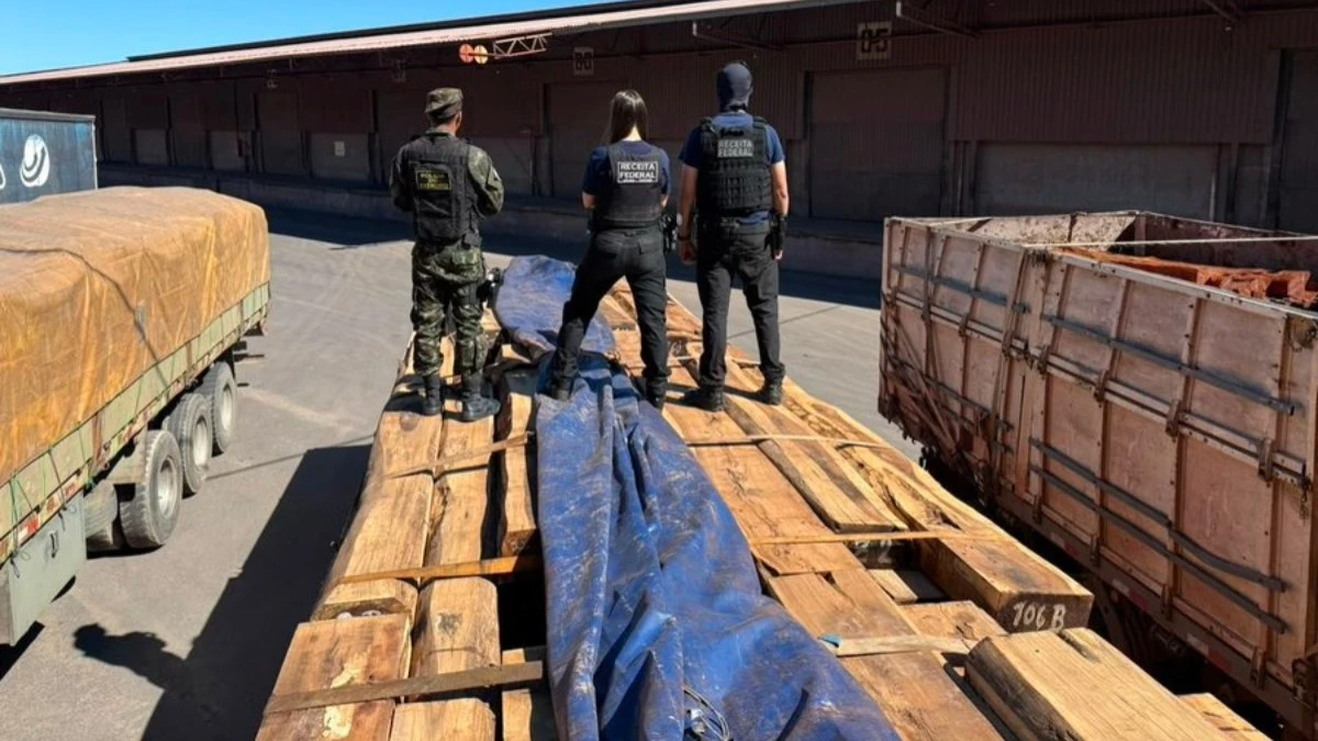 Cocaína em madeira pode ser maior apreensão da história