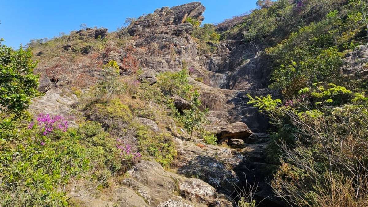 Estiagem seca completamente cachoeira histórica em MG; veja antes e depois