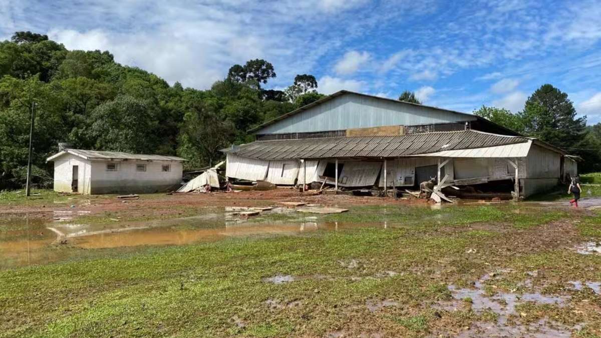 Criança de 3 anos desaparece após ser levada por enxurrada que invadiu casa no PR