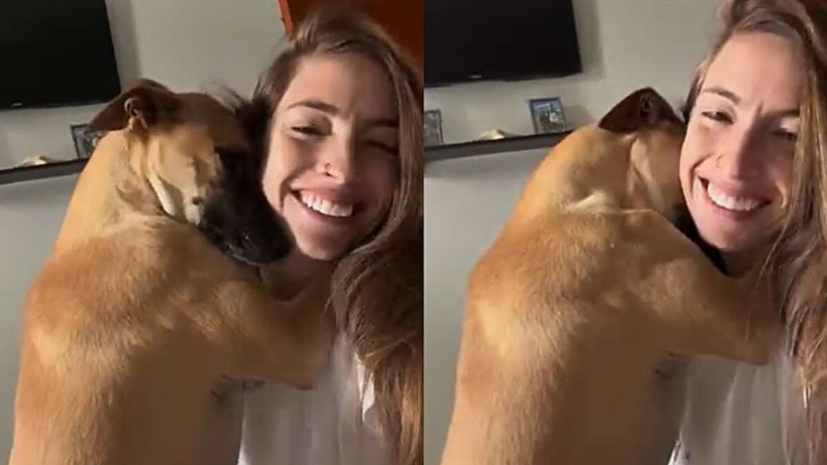 Cão adotado abraça tutora todos os dias há dois anos