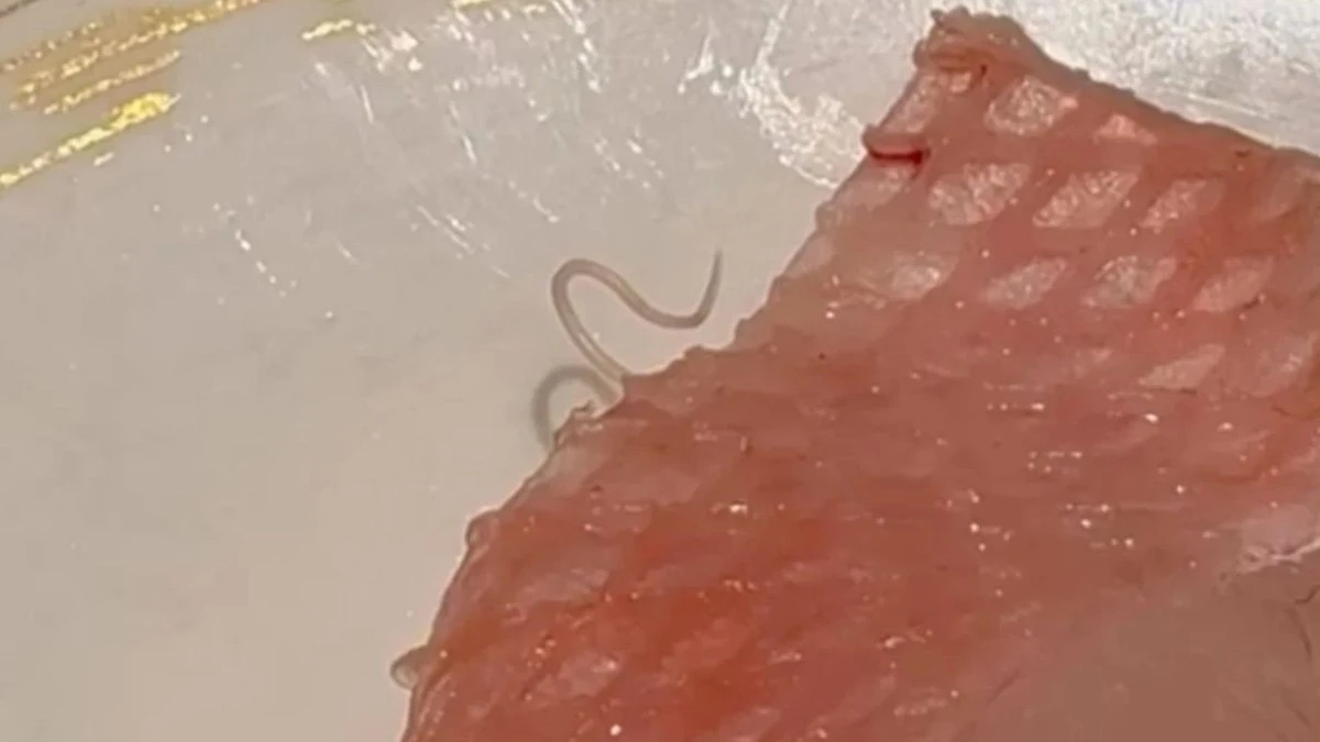 Verme vivo aparece em sashimi e revolta cliente de restaurante