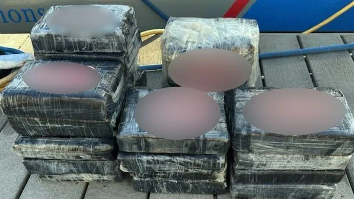 Homem encontra 23 kg de cocaína flutuando na costa da Flórida
