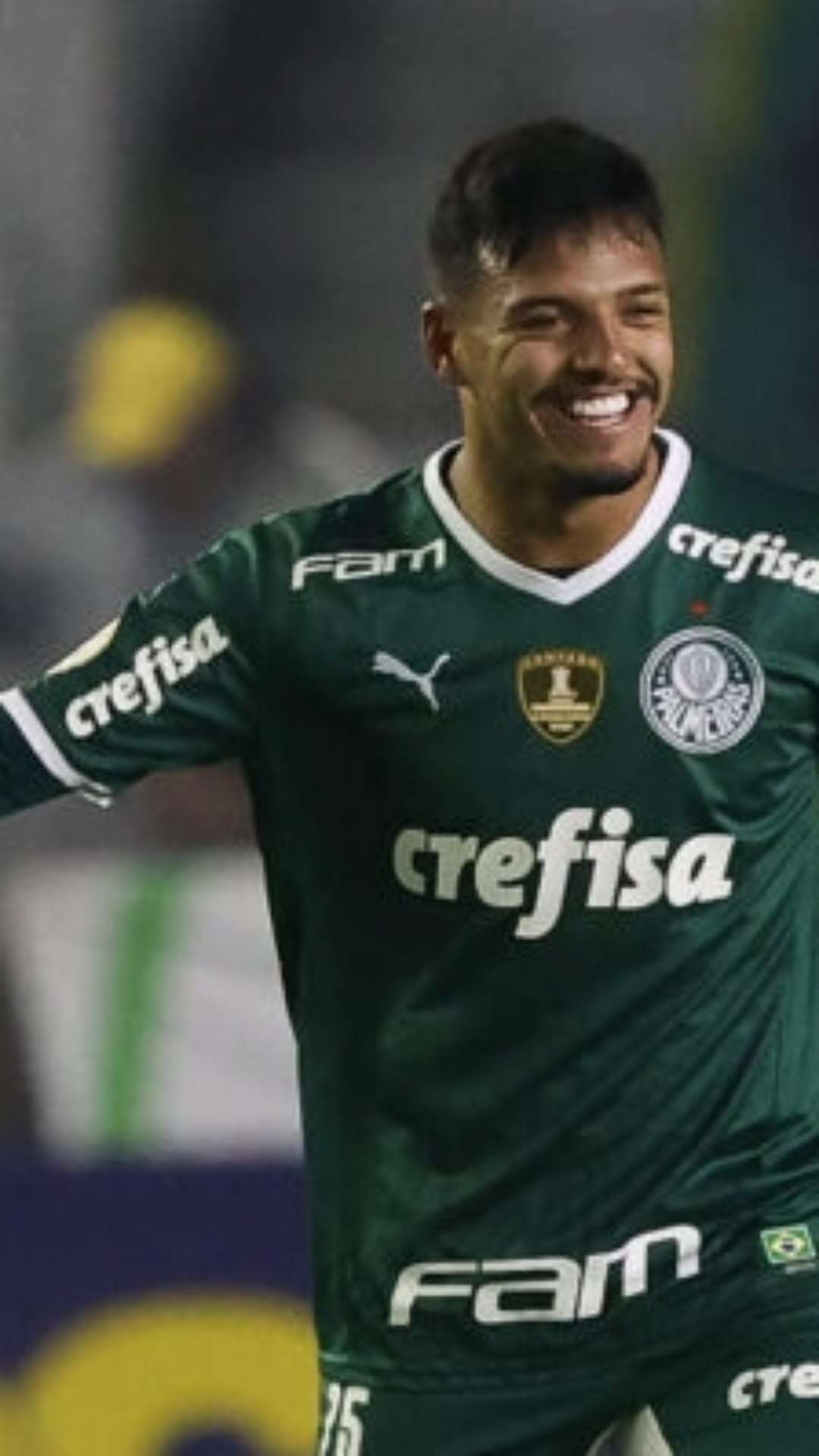 Palmeiras tem bom retrospecto jogando no Alfredo Jaconi