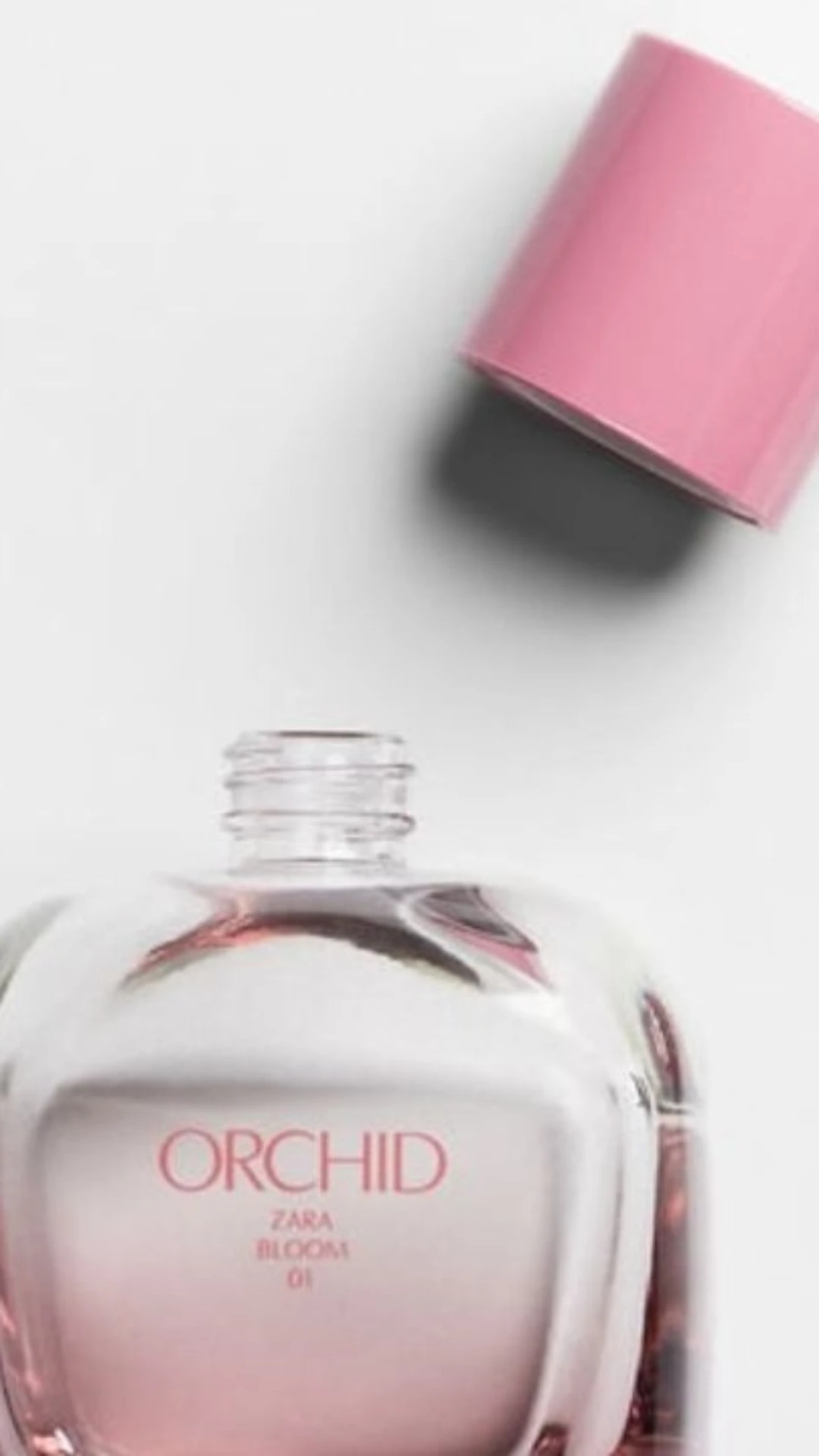 5 perfumes da Zara idênticos aos importados