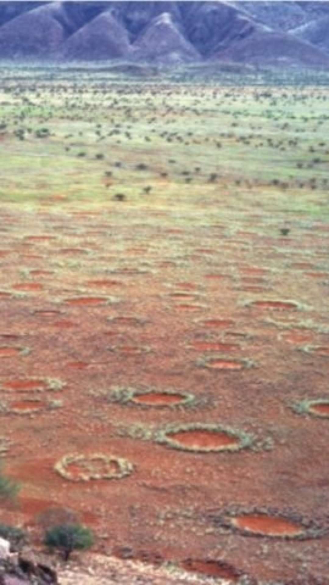 Círculos de fadas? Anéis ‘misteriosos’ se espalham pelo mundo