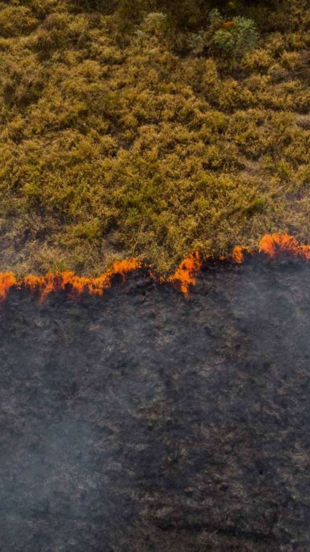 Brasil tem chance de assumir liderança no diálogo global sobre a questão climática