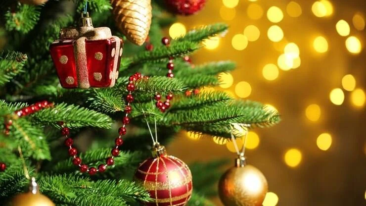 Árvore de Natal: qual a data certa para montar e dicas para arrasar na decoração