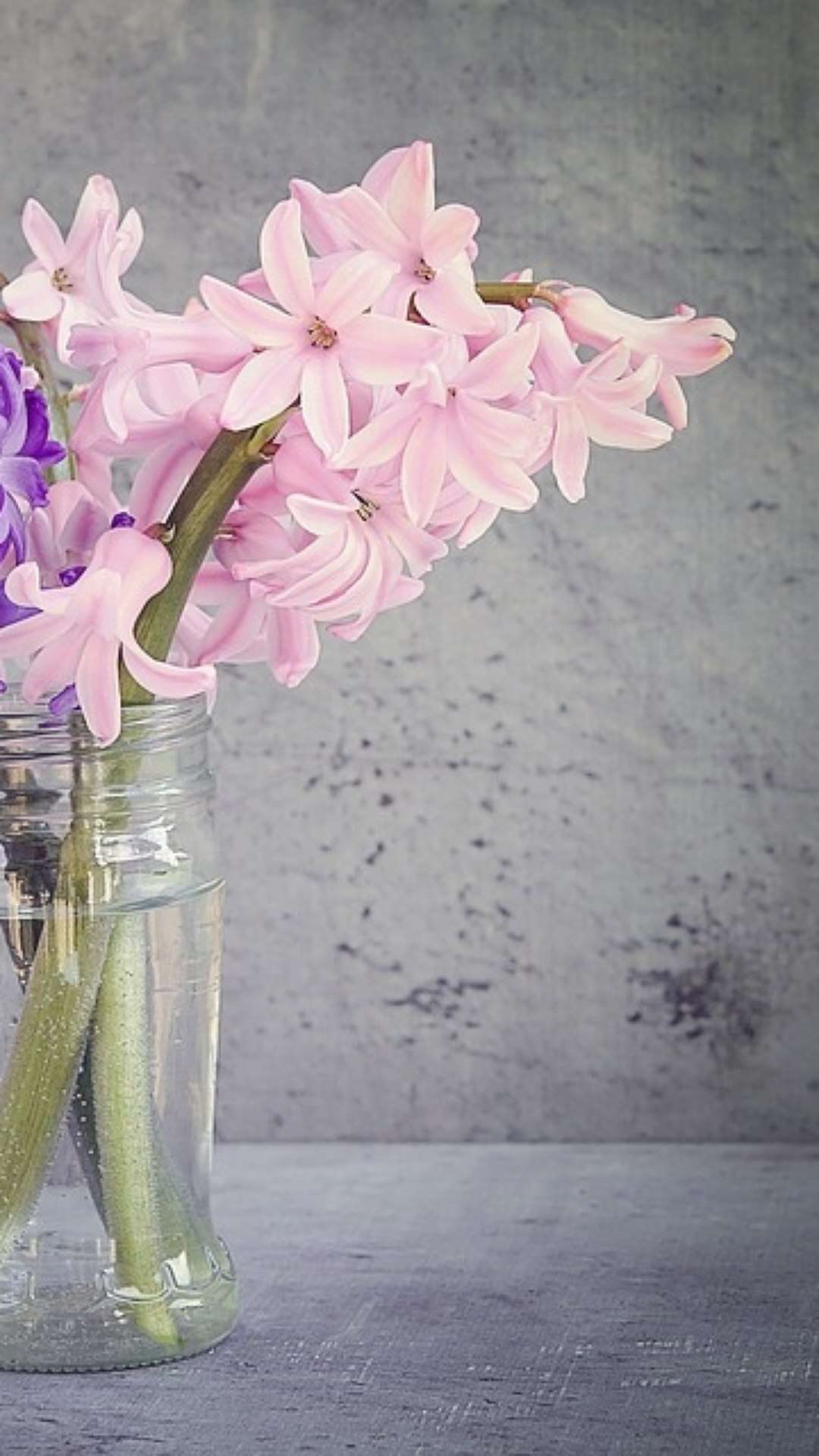 Tipos de Flores: 47 fotos para decorar seu jardim e casa!