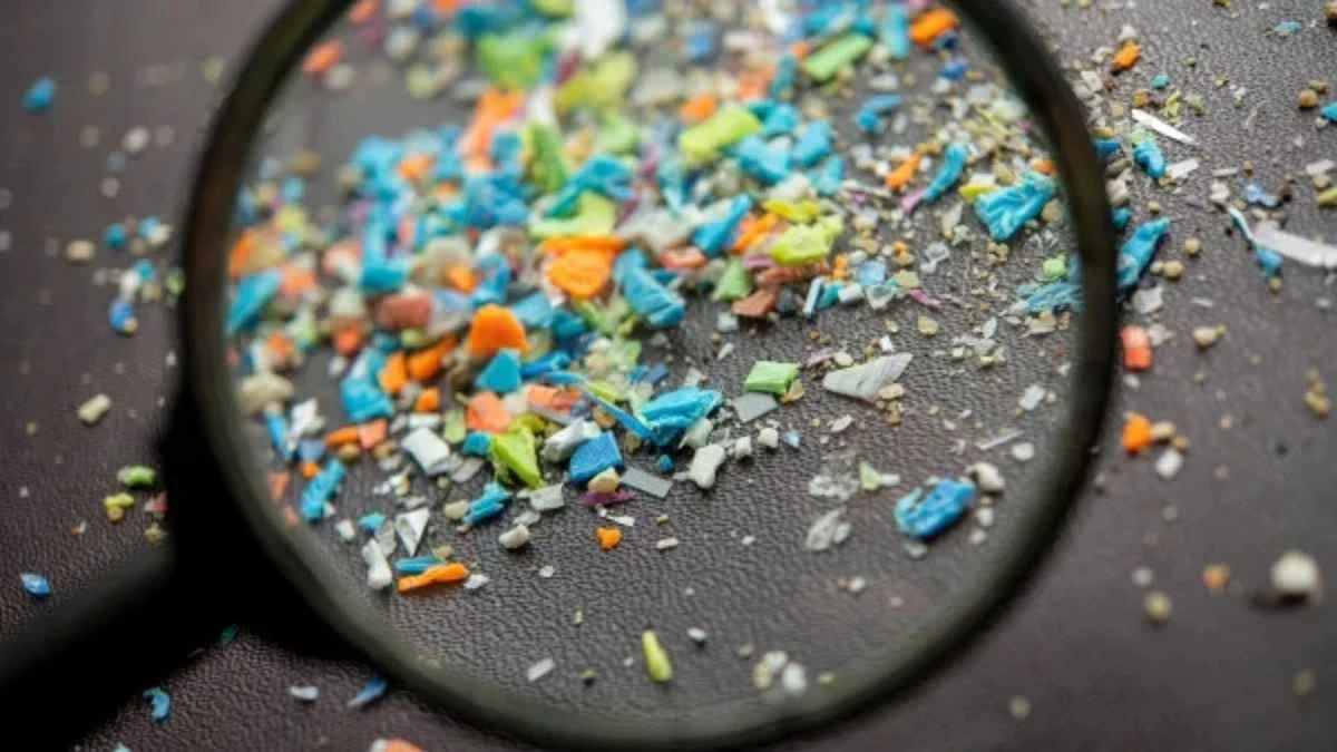 Microplástico: humanos podem inalar até 68 mil partículas por dia