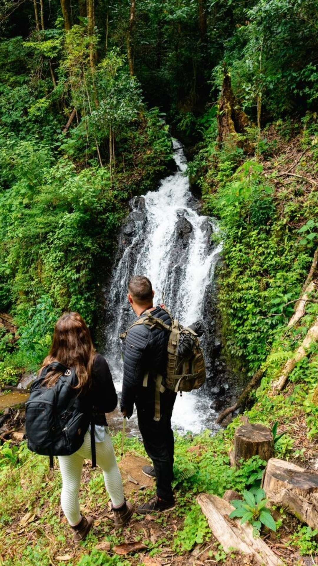 Panamá: 7 atrações naturais para fazer trilhas