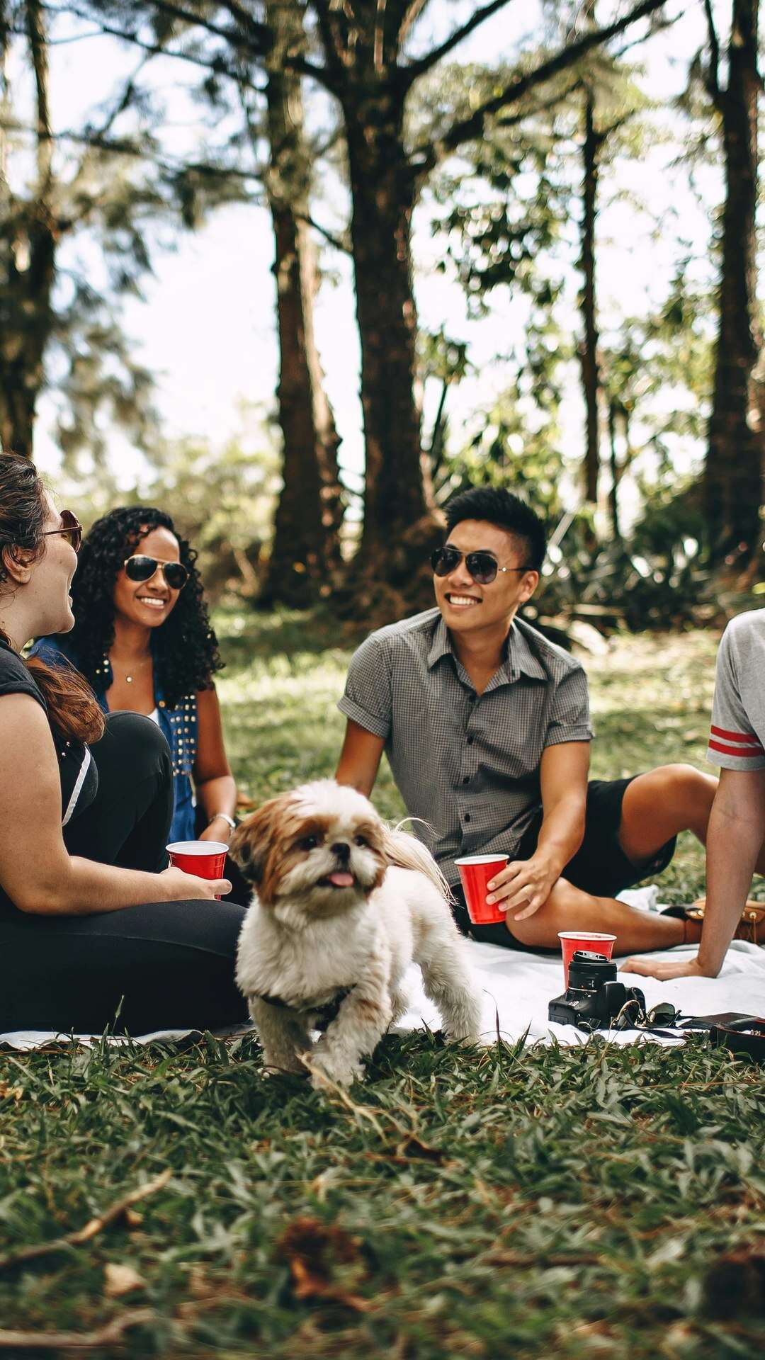 “Picnic” ou “piquenique”: qual o certo?