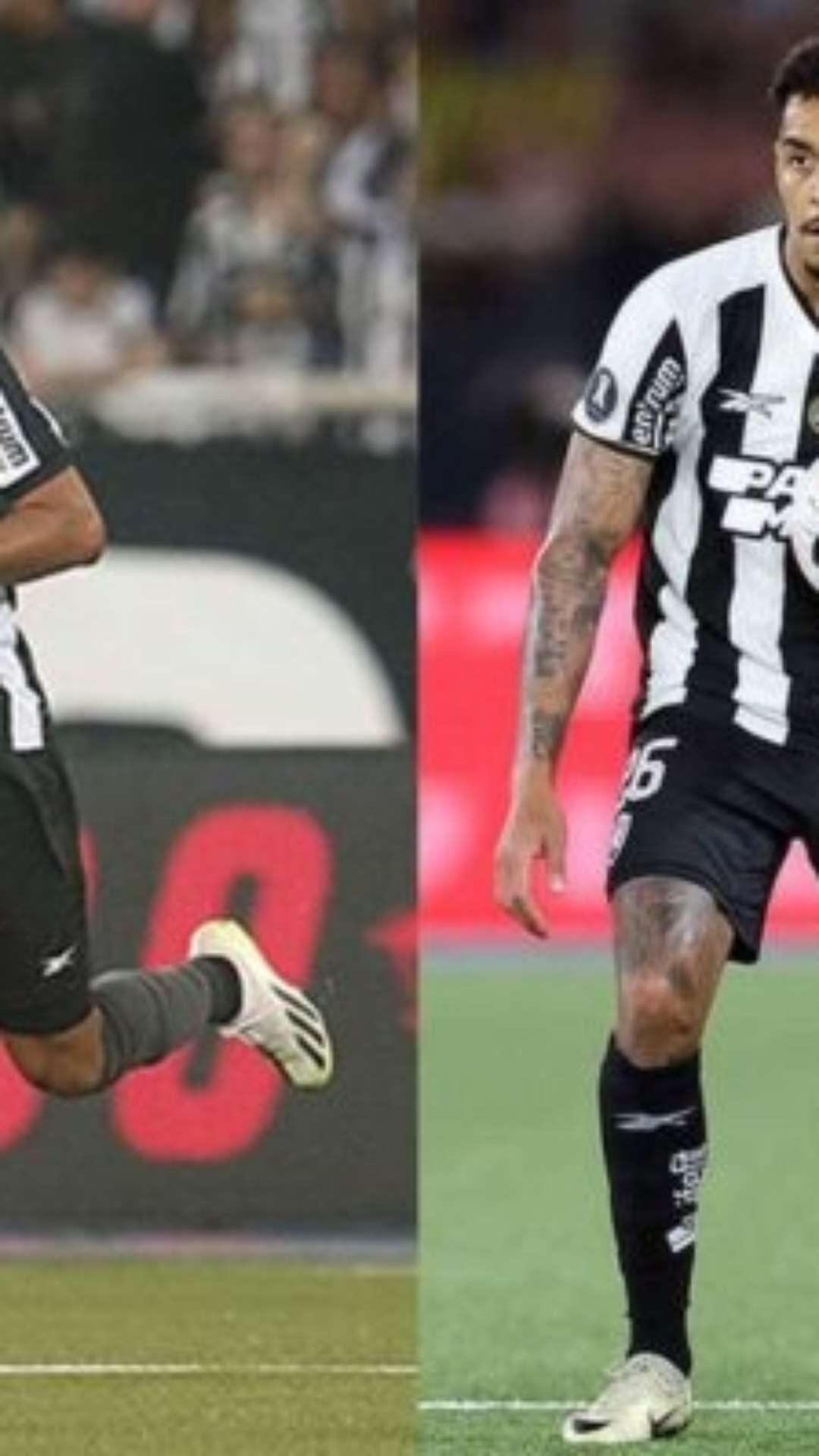 Com indicação de ex-alvinegro, Gregore ascende como ‘pitbull’ do Botafogo