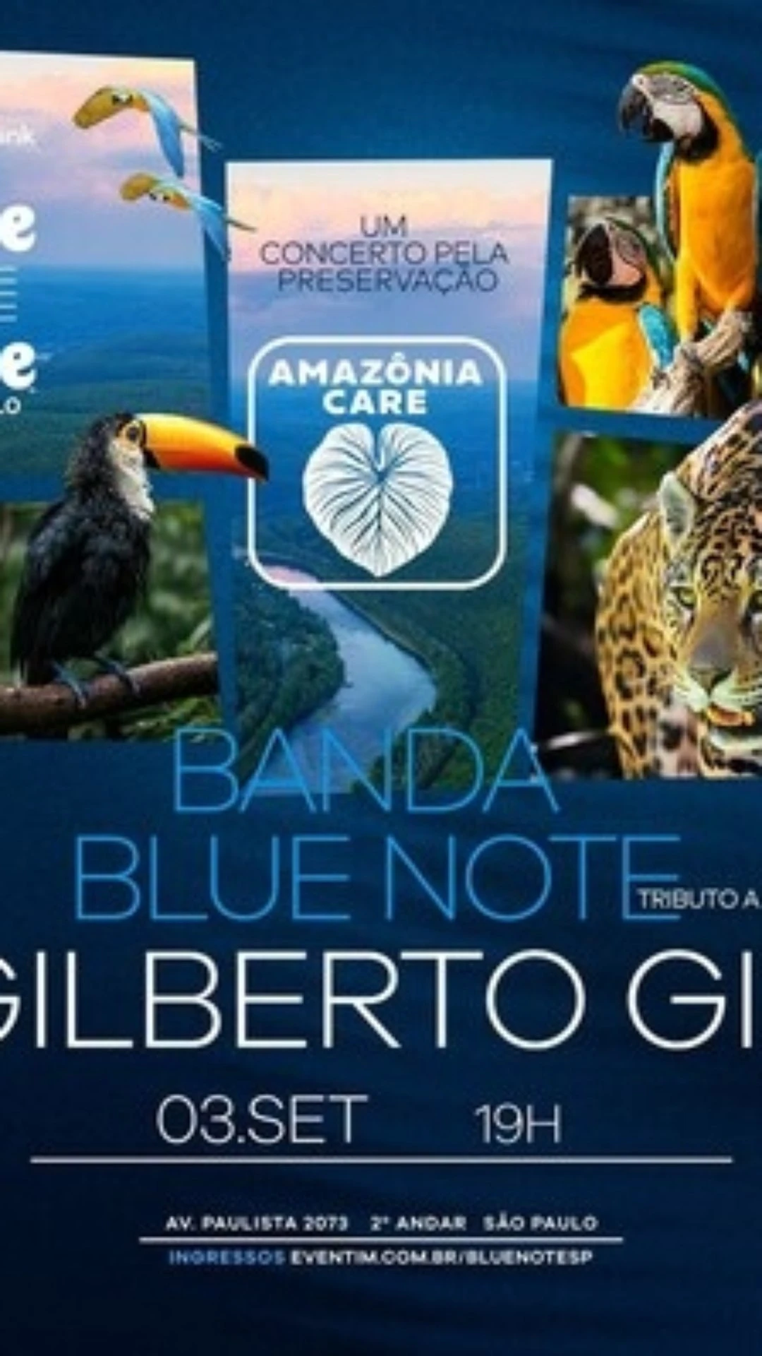 Amazônia Care e Blue Note São Paulo realizam o primeiro evento da parceria com tributo a Gilberto Gil
