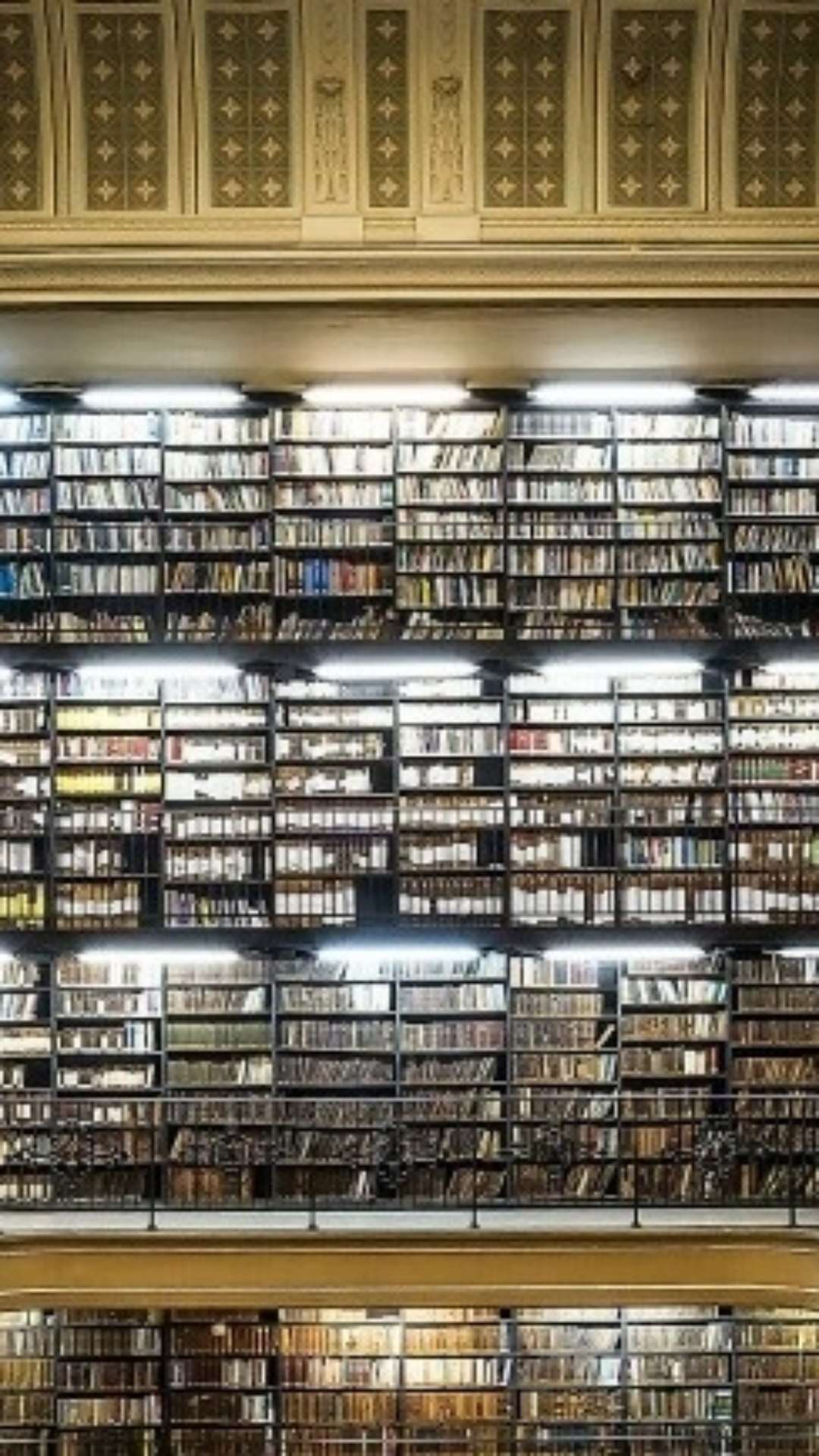 Dia Nacional do Livro: conheça a biblioteca que inspirou a data e guarda a 1ª edição dos Lusíadas