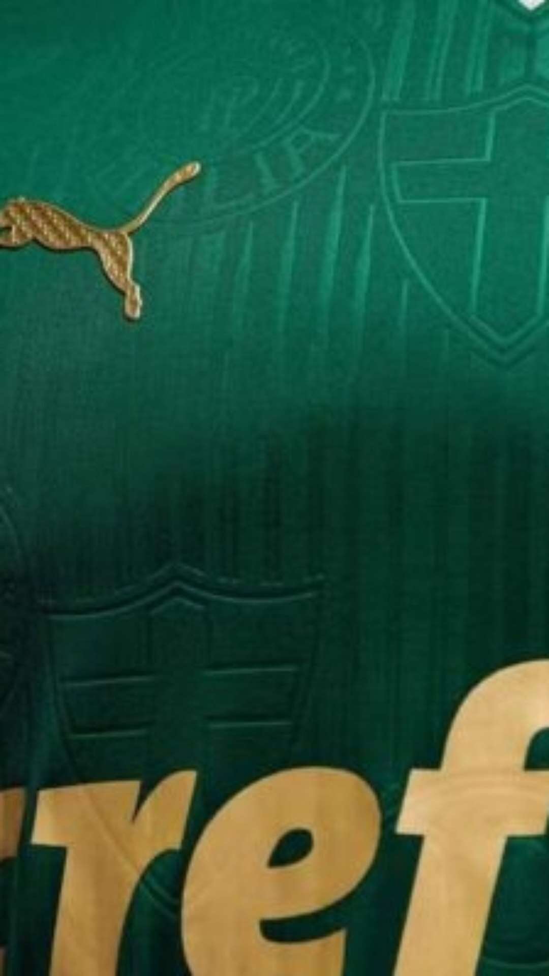 Palmeiras encaminha acordo com nova patrocinadora máster