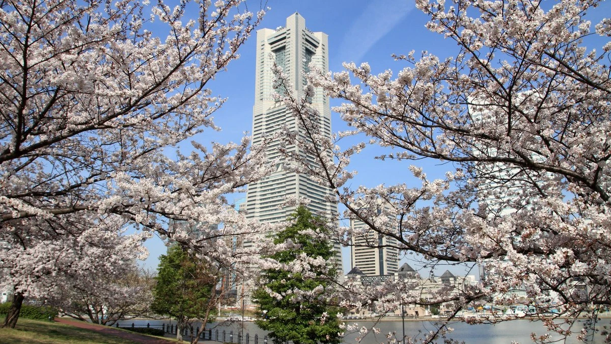 Rumores sobre terremoto previsto em mangá afetam turismo no Japão