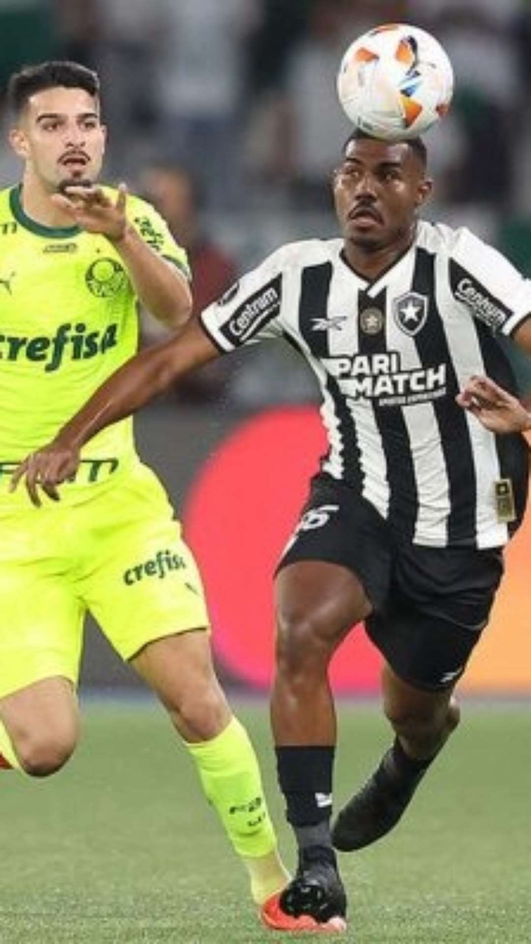 Botafogo e Palmeiras garantem vaga na Libertadores de 2025