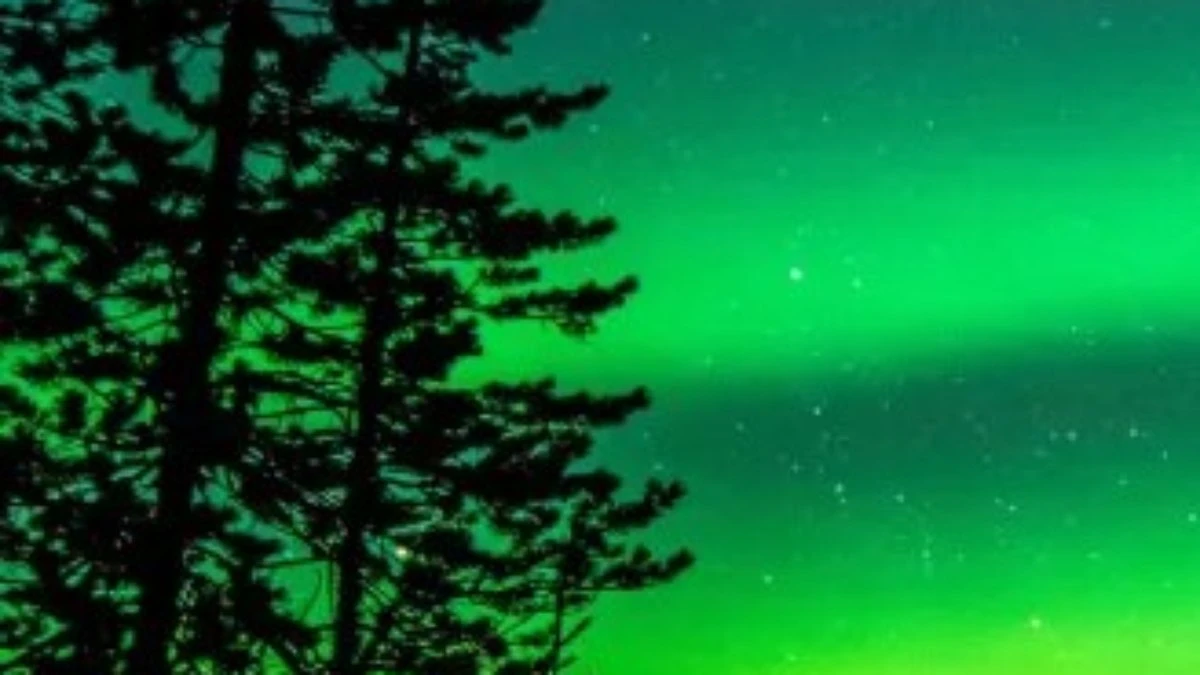 VÍDEO: aurora boreal ilumina
noite de Manitoba, no Canadá