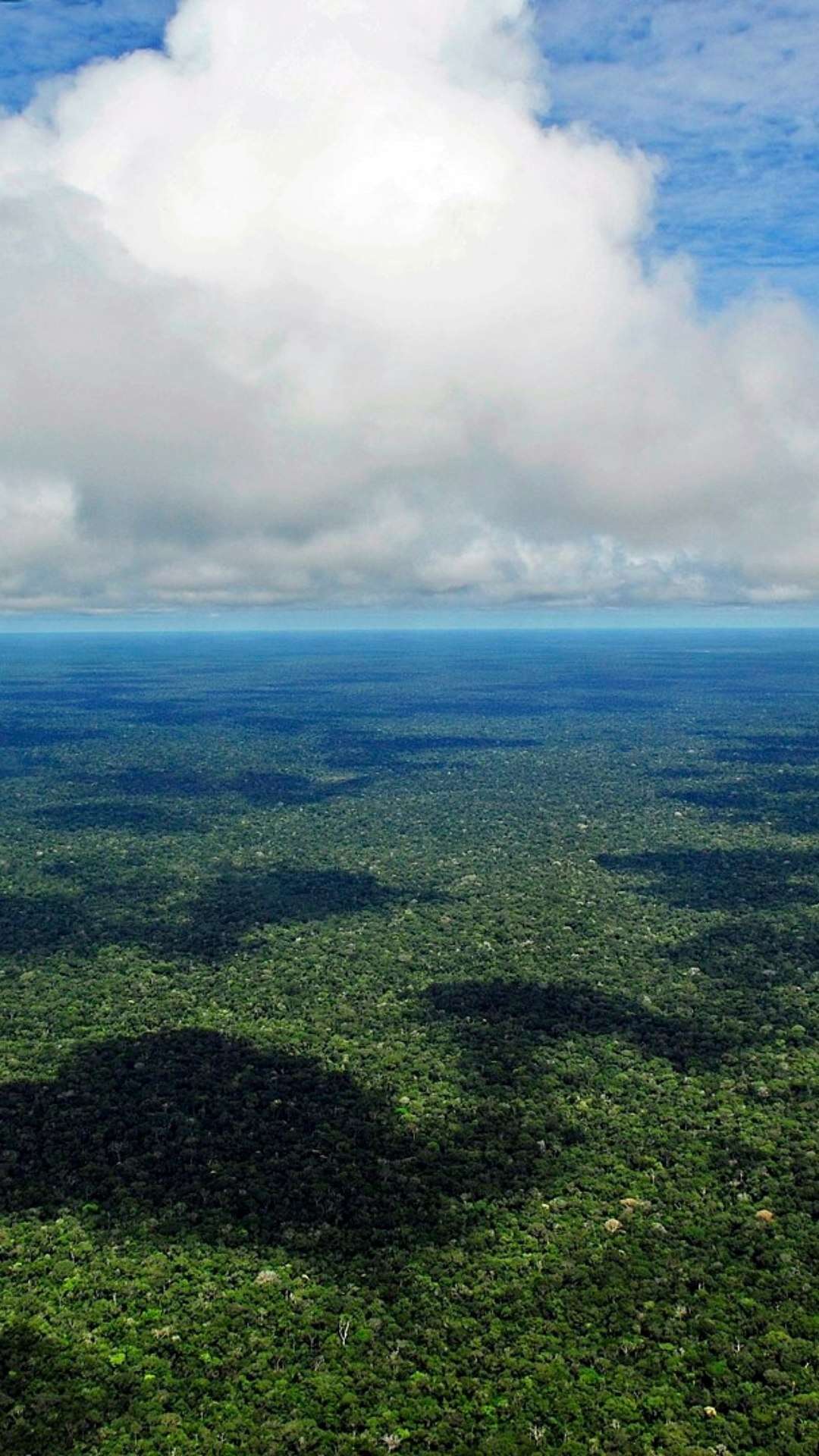 Além do Brasil, conheça os outros 7 países que compartilham a Amazônia