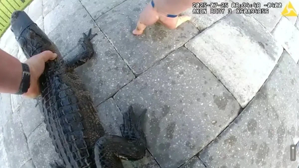 Vídeo flagra policial 