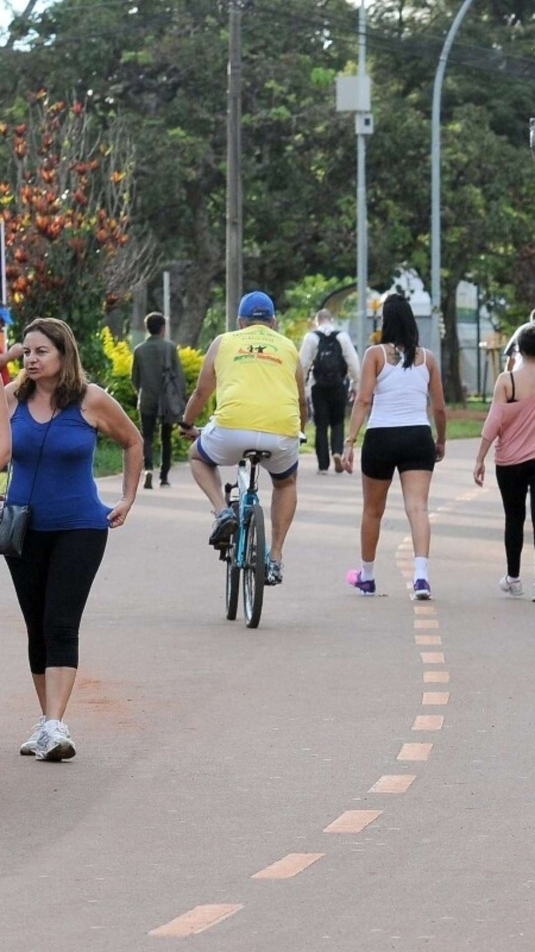 Parque da Cidade: o pulmão verde que inspira Brasília