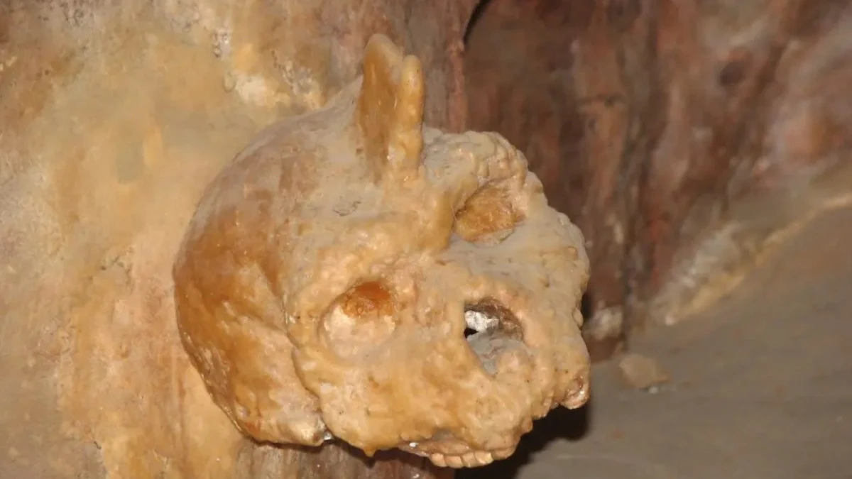 Crânio de 300 mil anos intriga cientistas: 