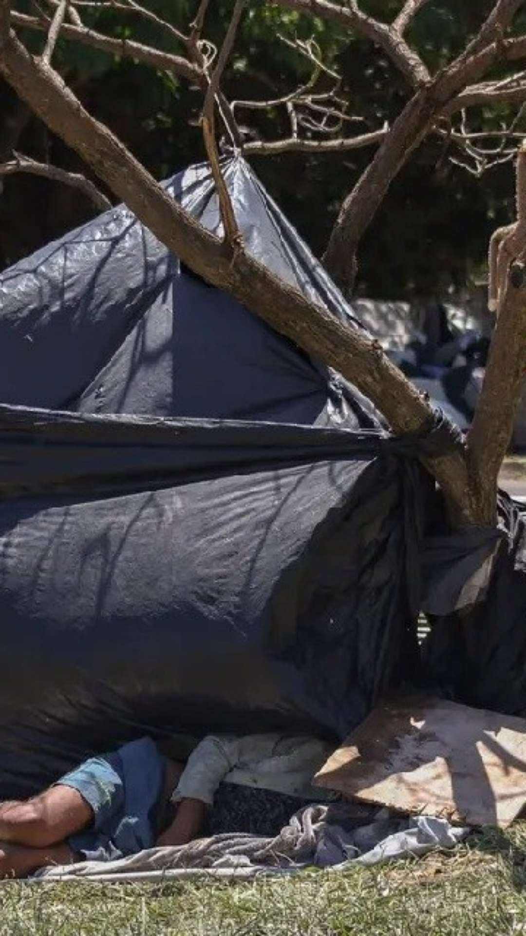 Ação de acolhimento atende 29 pessoas em situação de rua no Plano Piloto