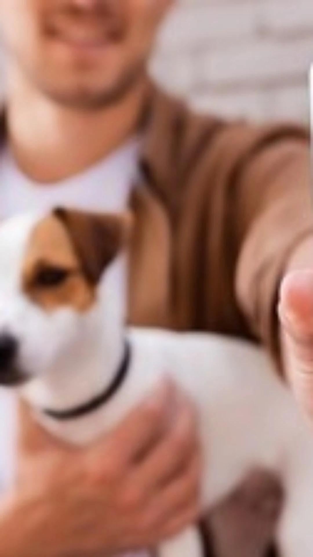 Abril Laranja: Shopee lança campanha para ajudar animais vítimas de maus-tratos