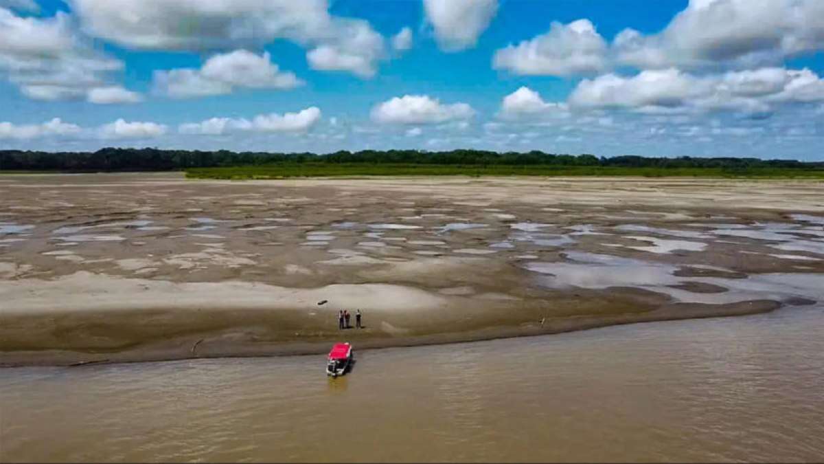 Em meio a secas e queimadas, escolas preparam alunos para enfrentarem a crise climática