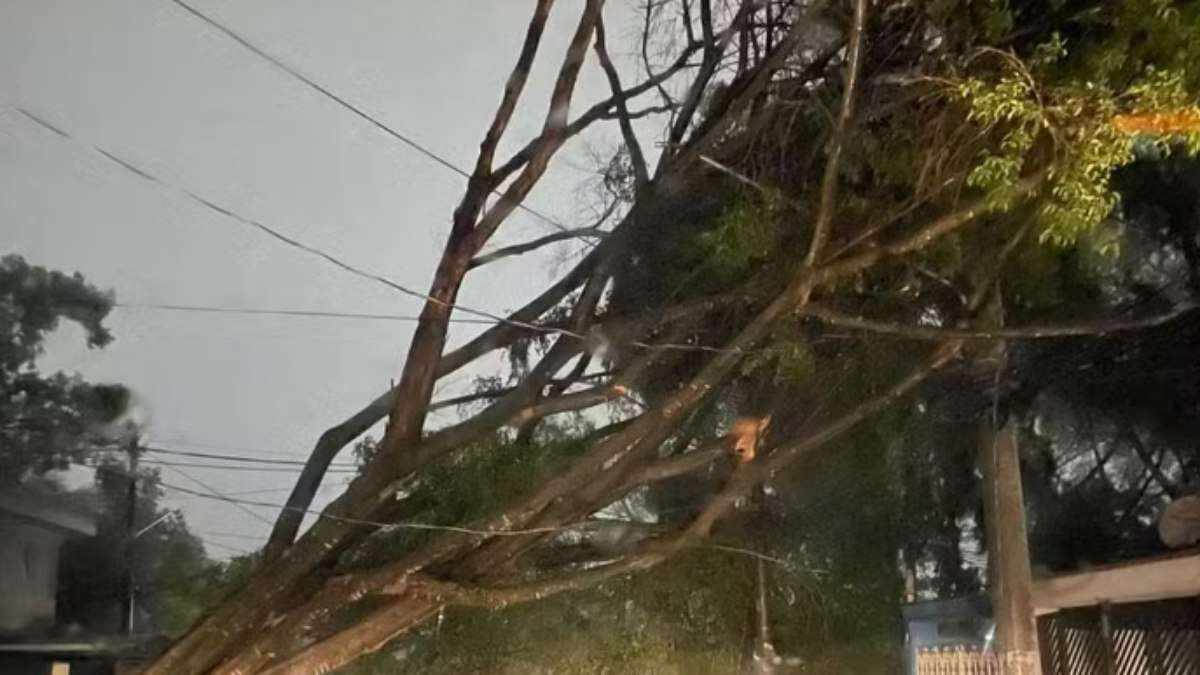 Tempestade em SP: por que não teve temporais na capital no fim de semana?