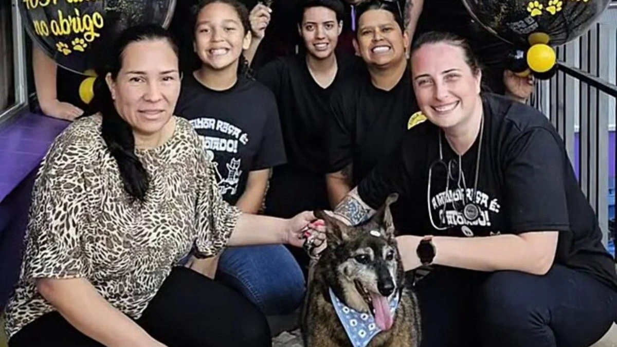 Sheik, cão de 16 anos, enfim encontra um lar após longa espera