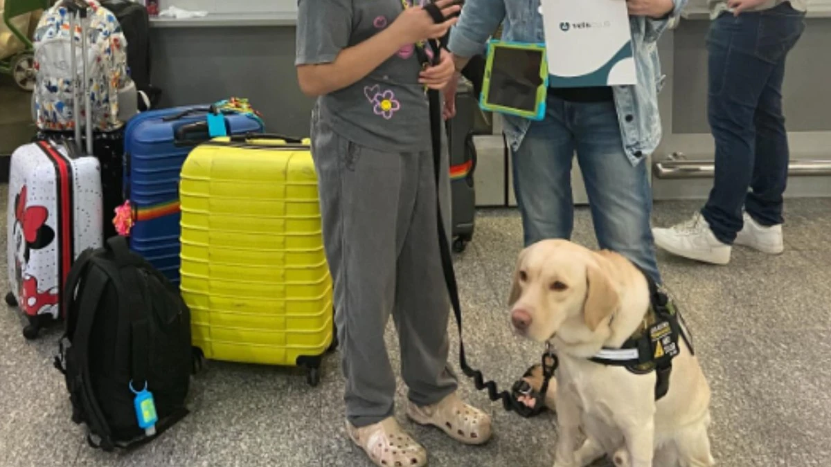 Caso Teddy: cão de apoio à menina autista embarca para Portugal