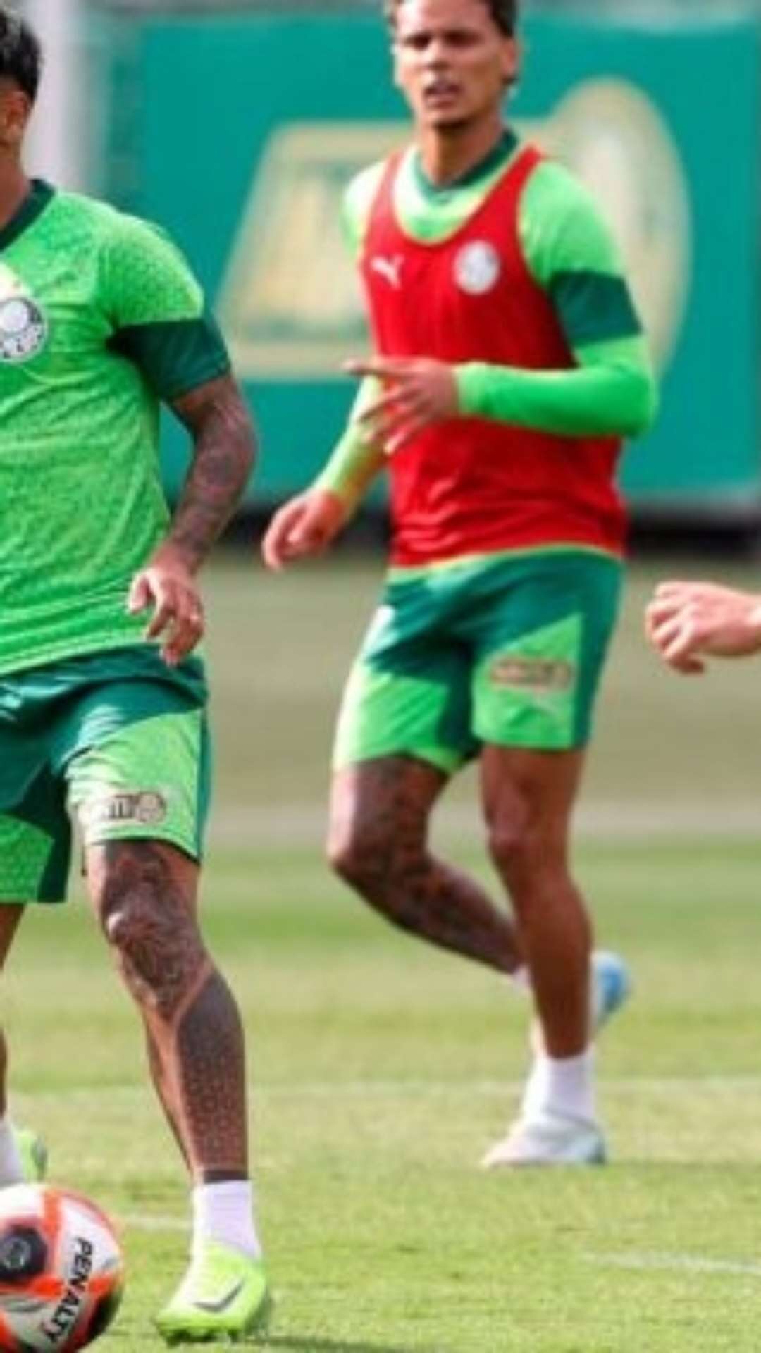 Palmeiras realiza primeiro treino no campo em 2025