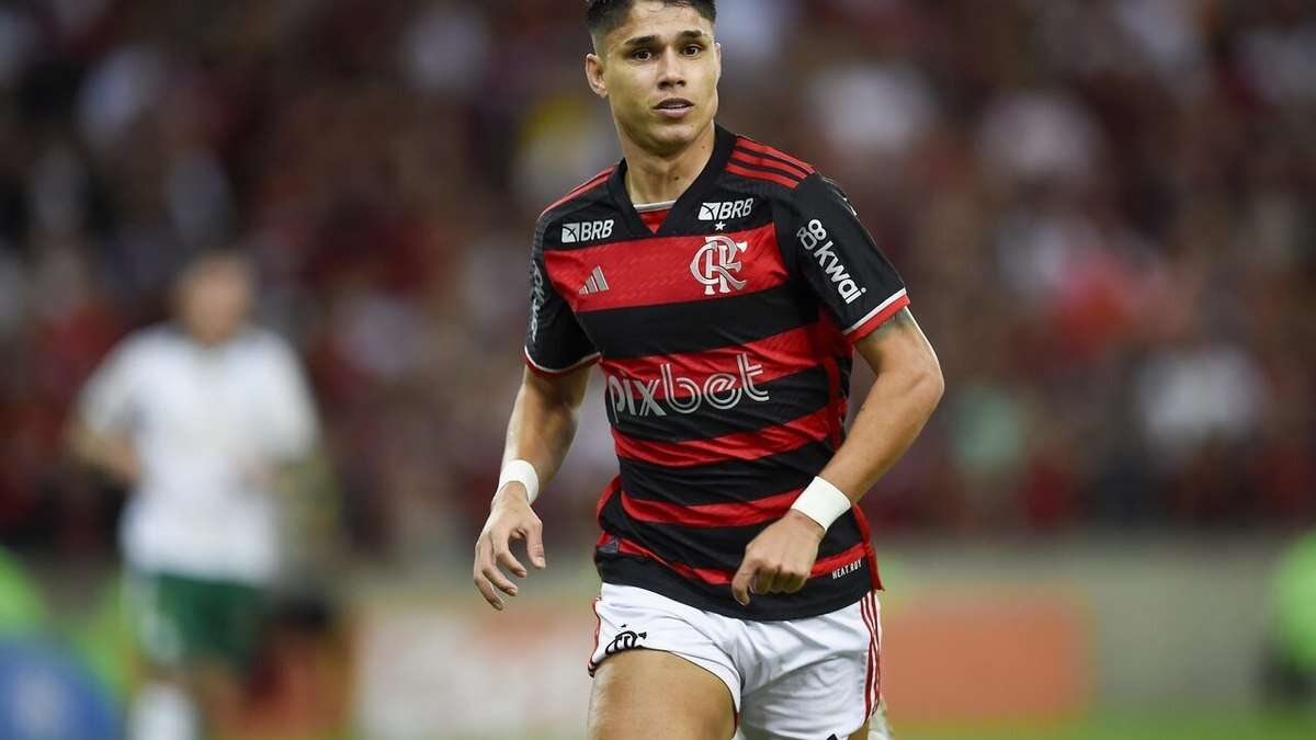 Flamengo confirma lesão de Luiz Araújo; veja prazo de recuperação